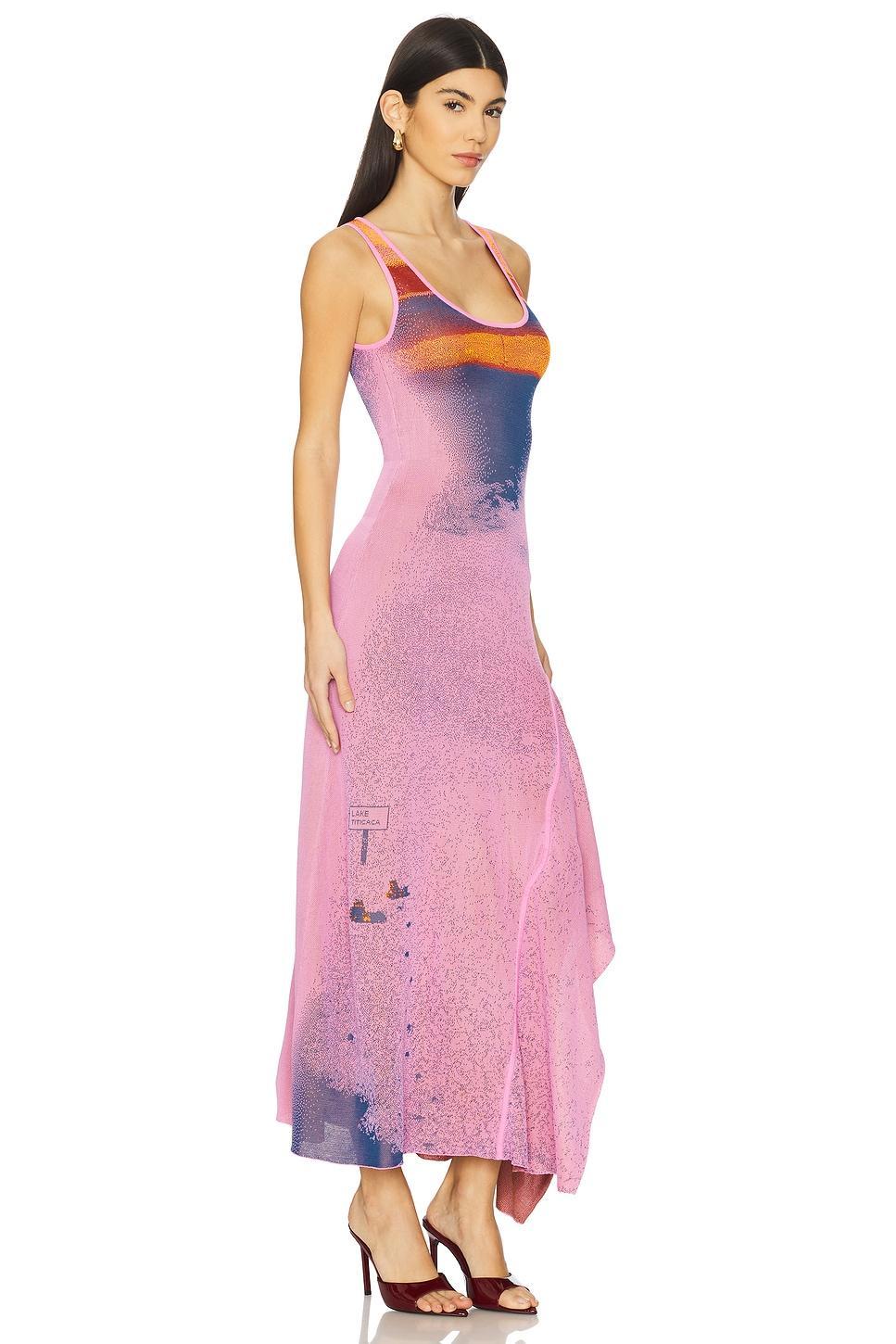 Becky Maxi Tank Dress PH5 Product Image