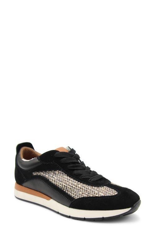 Gentle Souls by Kenneth Cole Womens Juno Lace Up Low Top Sneakers Product Image