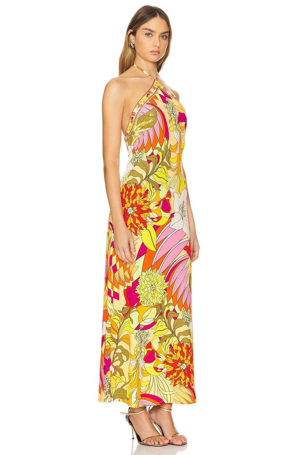 Long Halter Dress Camilla Product Image