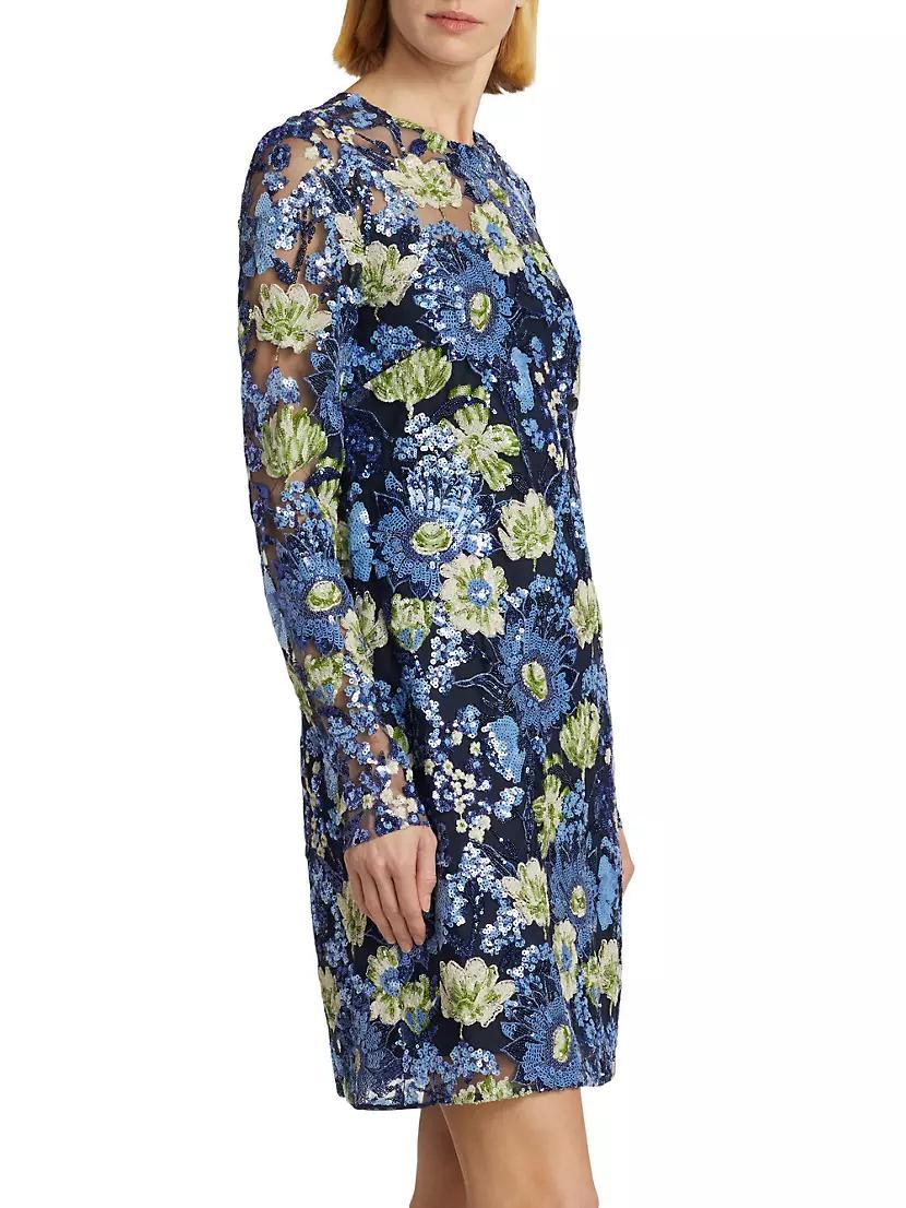 Embroidered Tulle Shift Dress Product Image