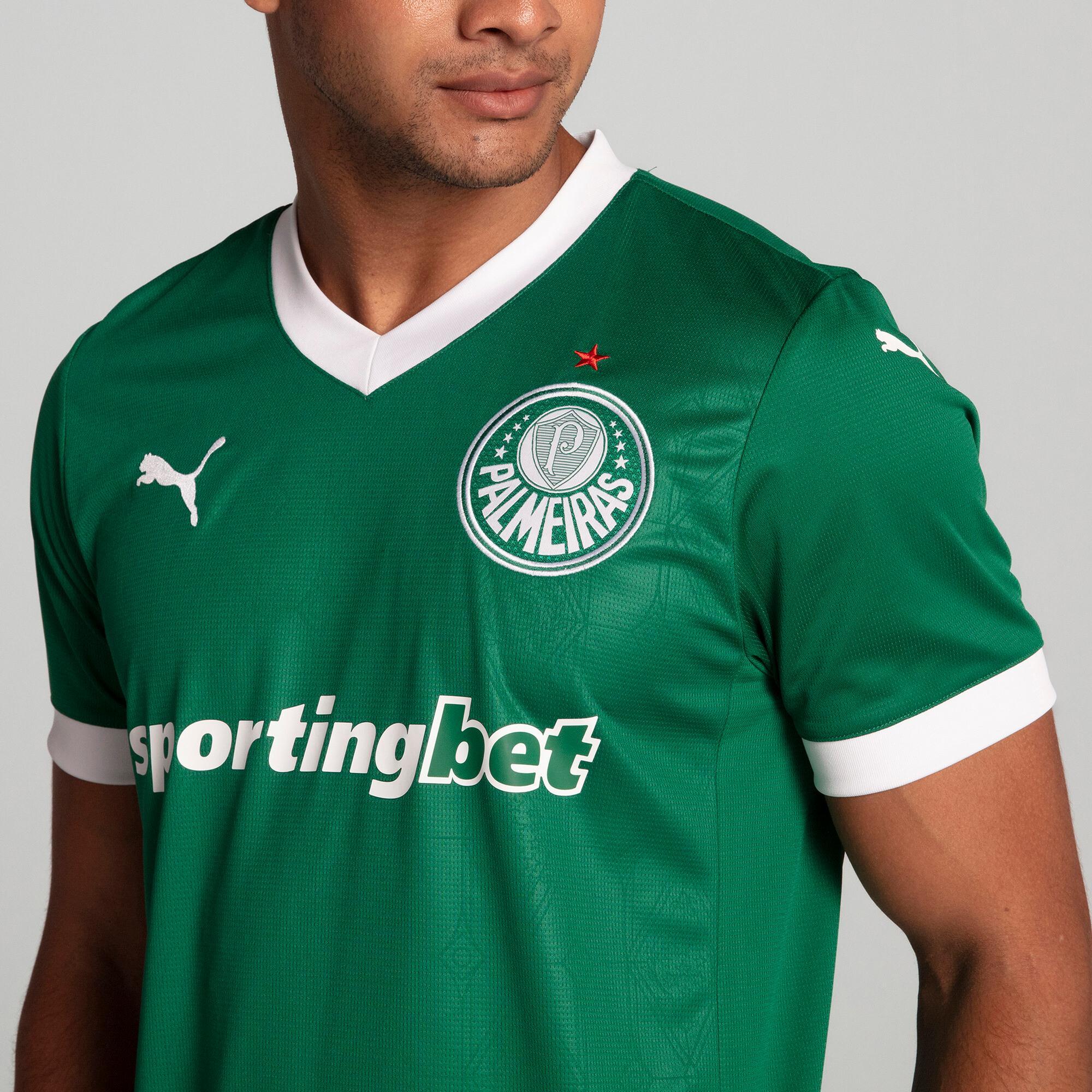 Palmeiras Torcedor Home Jersey 25 Men Product Image