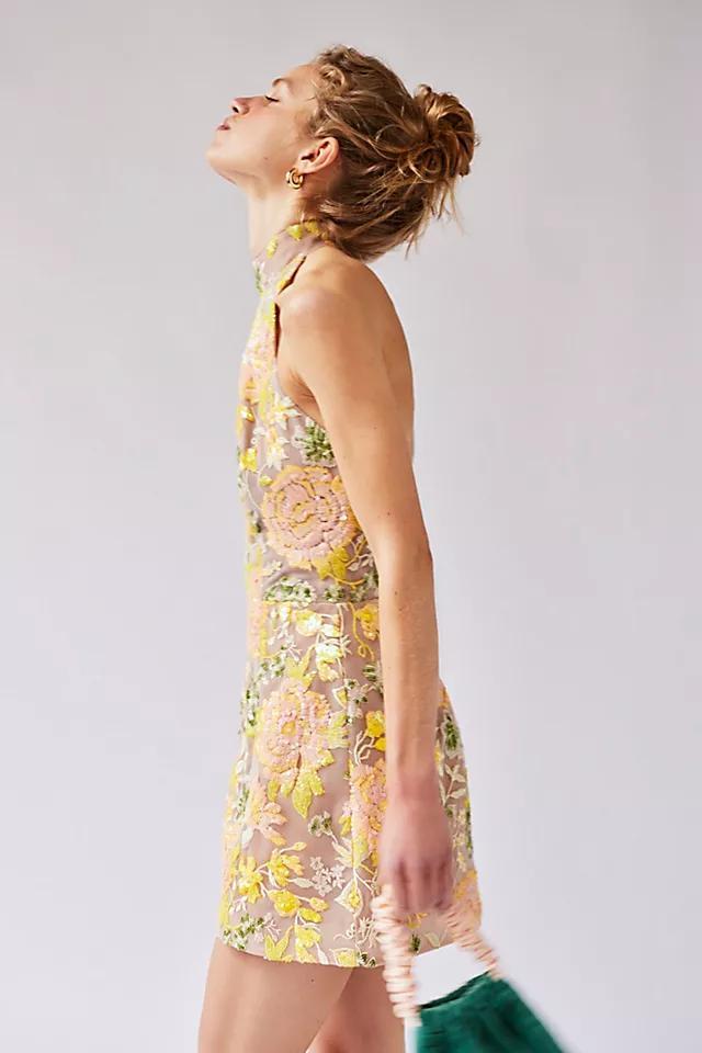 Helsi Sara Mini Dress Product Image