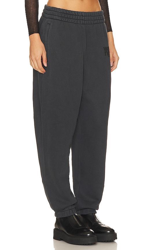 alexanderwang. t Essential Terry Jogger Pants Product Image