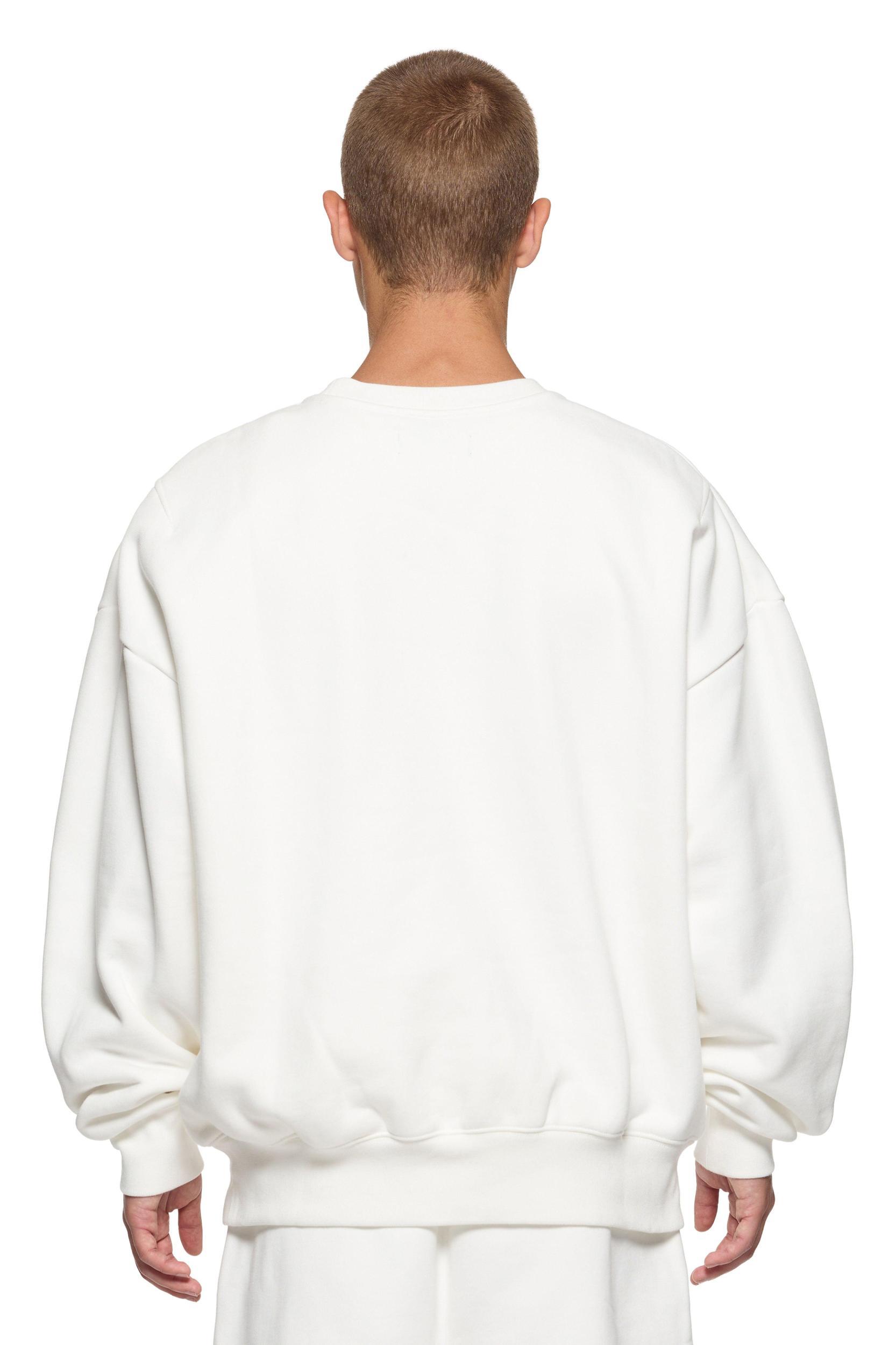 Blank Crewneck Sweater Male Product Image