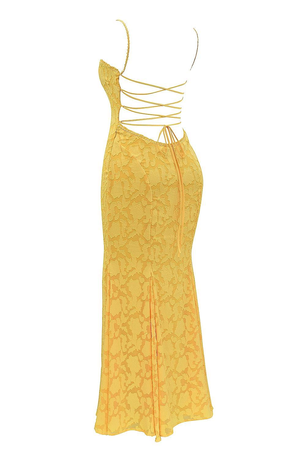 Joan  apricot lace up back maxi dress Product Image