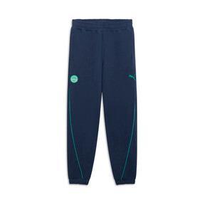 PUMA Venice Beach Basketball League T-73 Men's Basketball Pants in Dark Blue Product Image