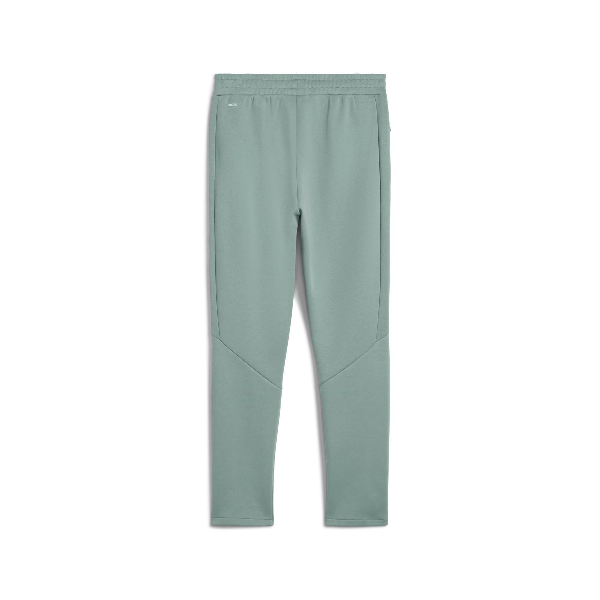 EVOSTRIPE Men's Pants Product Image