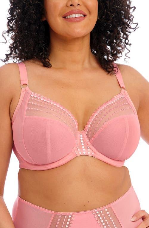 Elomi Plus Size Matilda Embroidered Sheer Plunging Convertible U-Back to Racerback Contour Wire Full Product Image