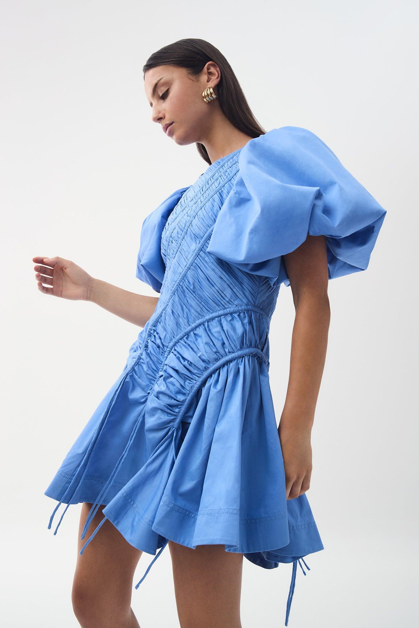 Wisteria Mini Dress Product Image