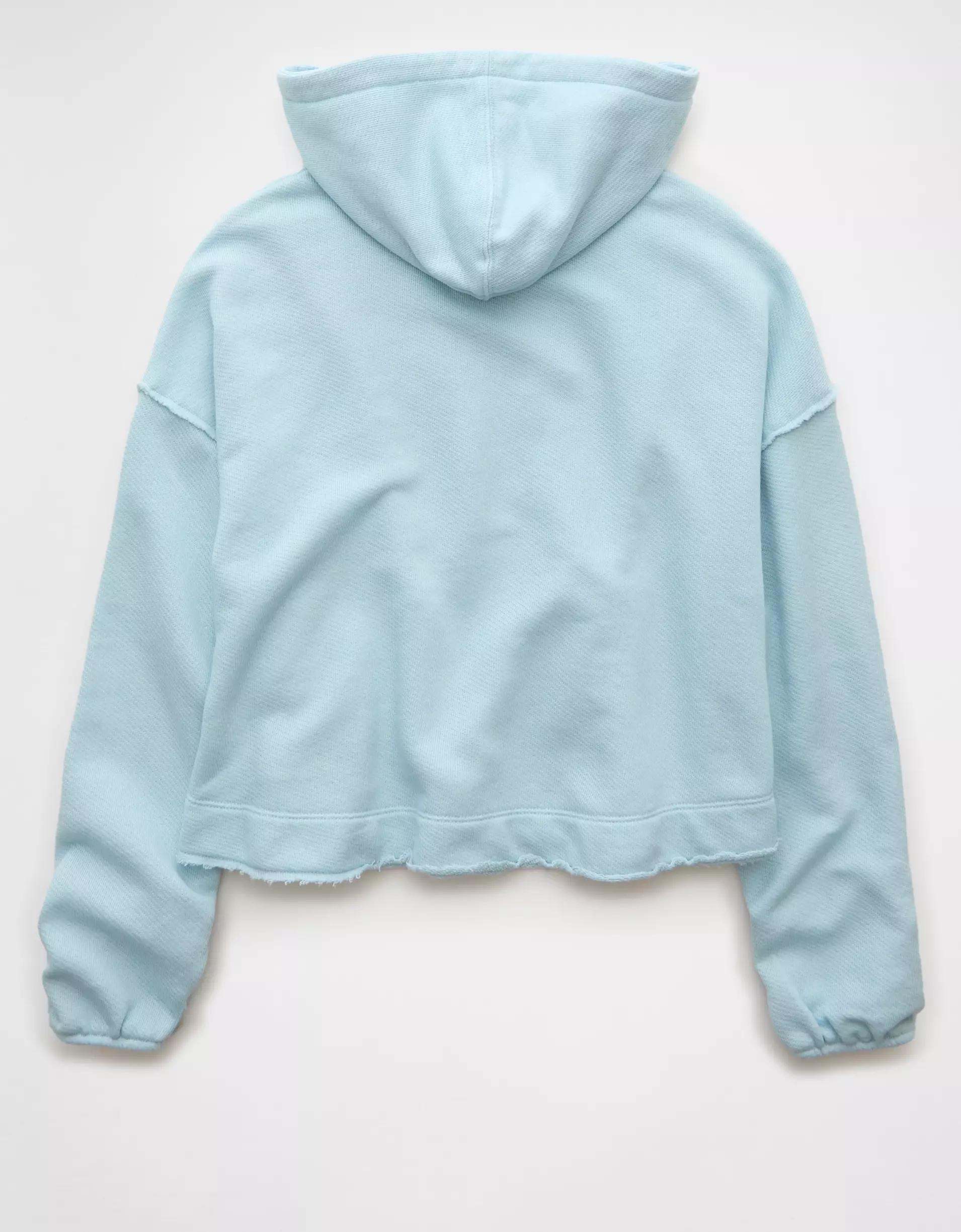 AE Saltwash Hoodie Product Image
