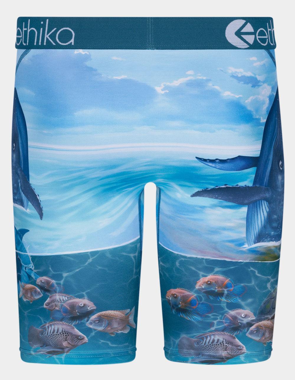 ETHIKA Voyage Staple Mens Boxer Briefs - MULTI Product Image