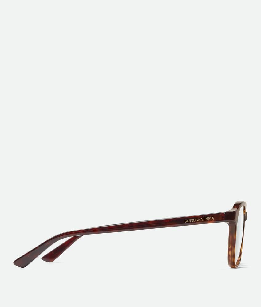 Classic Panthos Eyeglasses in Havana/transparent Product Image