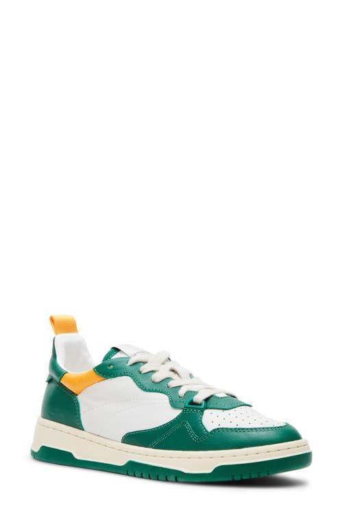 Steve Madden Everlie Multi) Women's Shoes Product Image