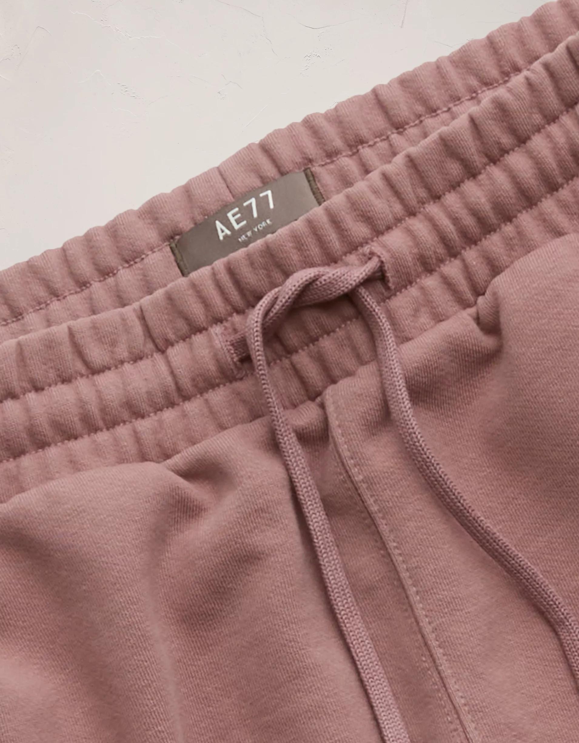 AE77 Premium Fleece Sweat Short Product Image