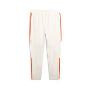PUMA Blaster Men's Training Pants in Alpine Snow/Redmazing Product Image