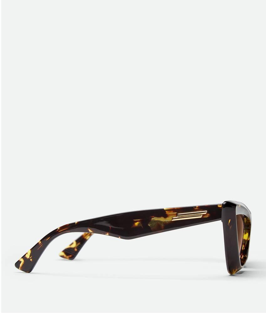 Women's Angle Acetate Pointed Cat Eye Sunglasses in Havana / Brown Product Image