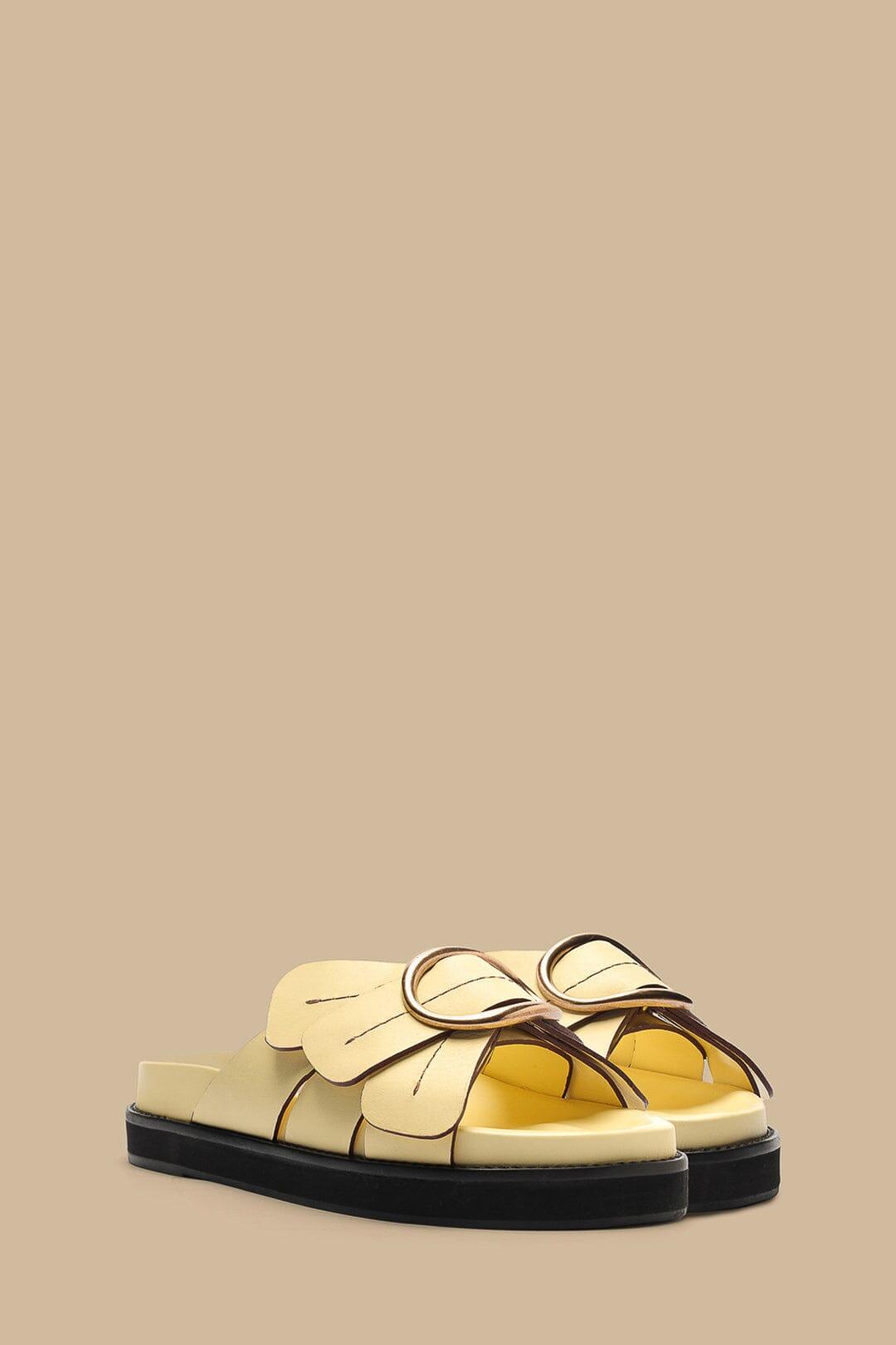Product Card
