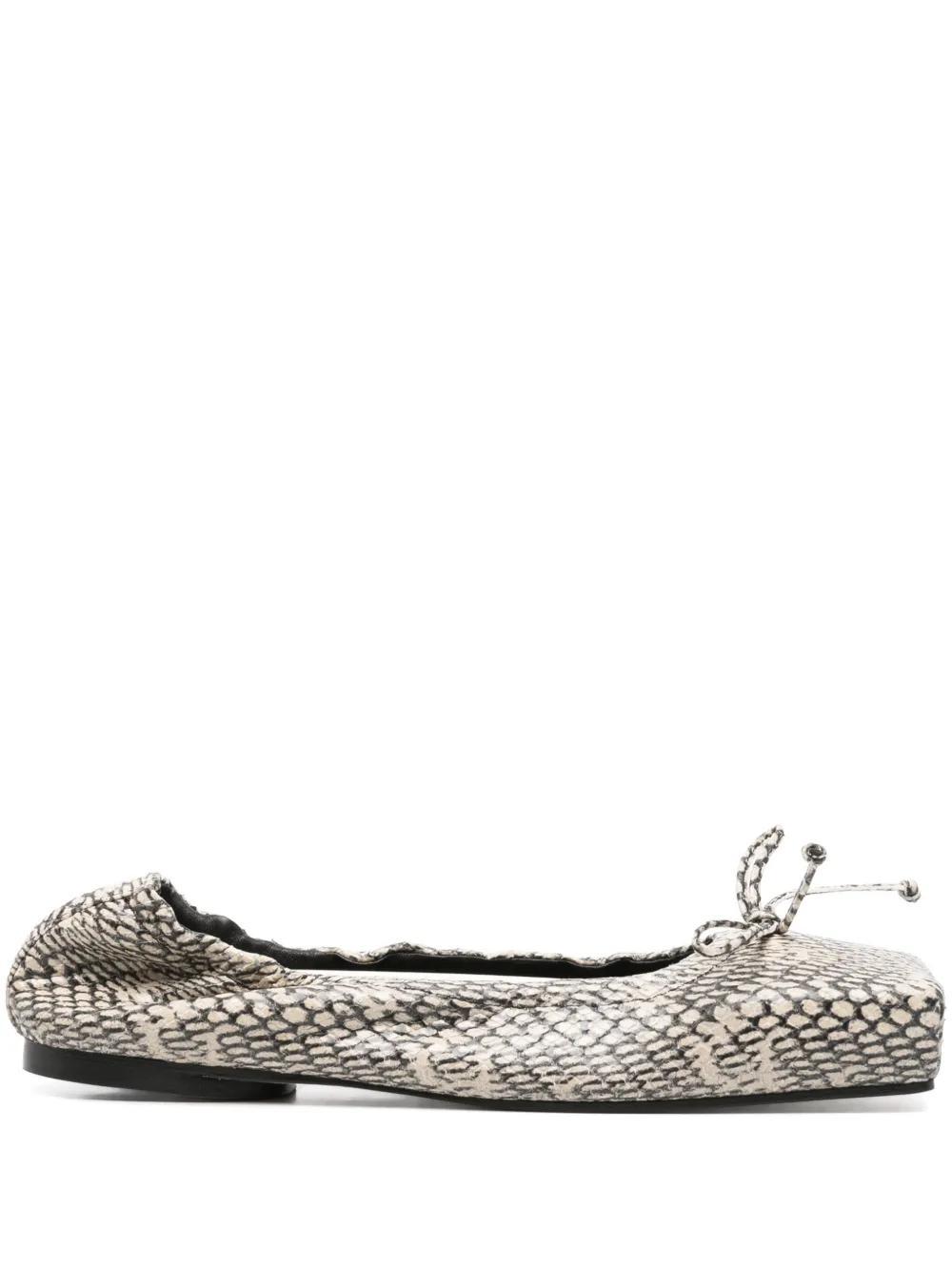 The Ballet flats Product Image