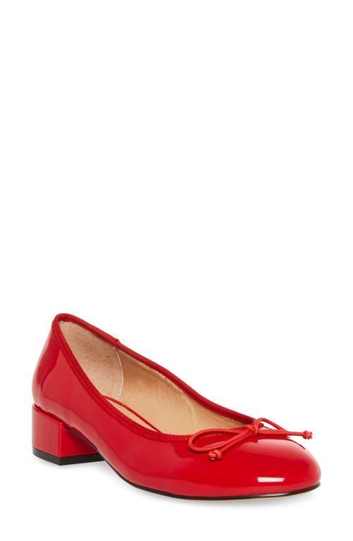 Cherish Flat Steve Madden Product Image