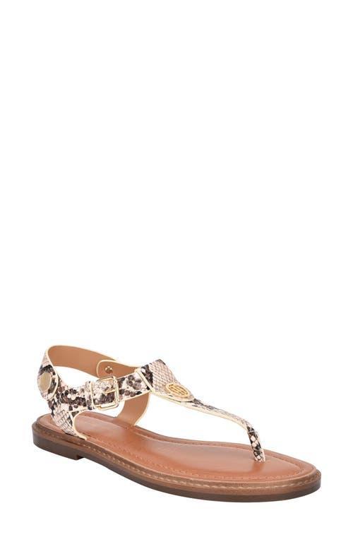 Tommy Hilfiger Bennia LL) Women's Shoes Product Image
