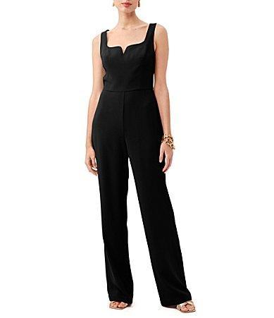 Womens Temara Notch Jumpsuit Product Image