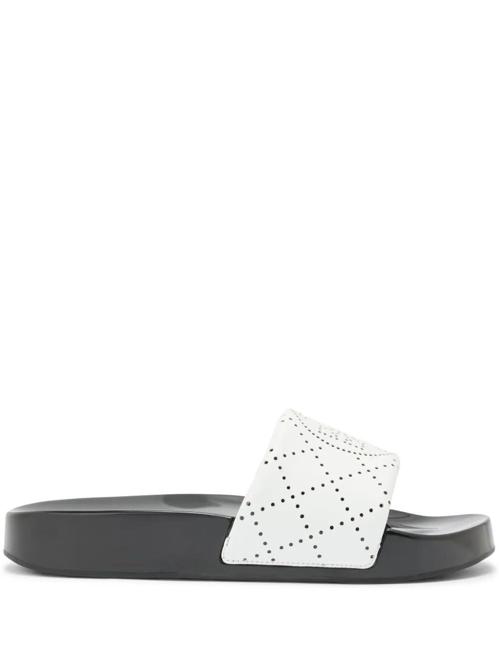 Double T pool slides Product Image