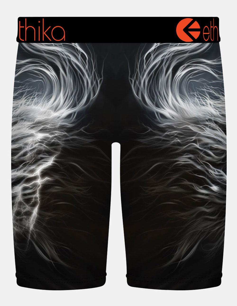 ETHIKA Lion Strike Staple Mens Boxer Briefs - MULTI Product Image
