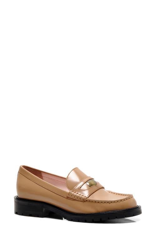 Clarks Opal Zip Suede) Women's Zip Boots Product Image