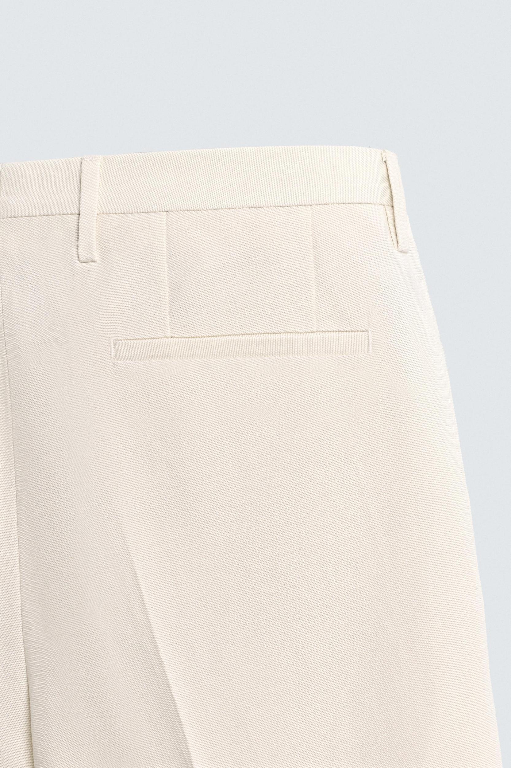 REGULAR FIT PLEATED PANTS Product Image