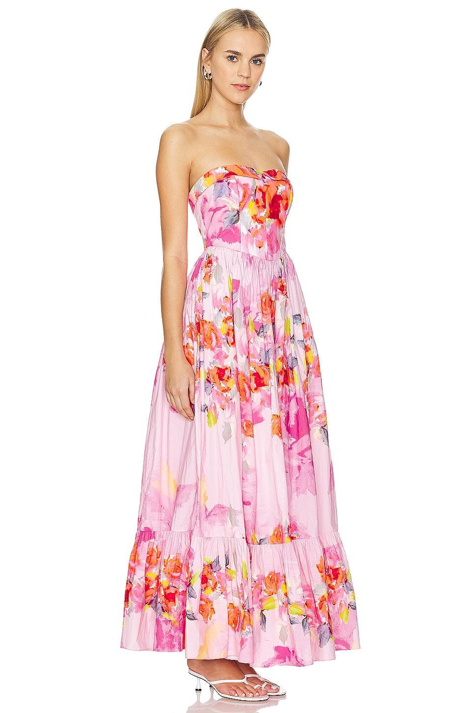 Corset Maxi Dress HEMANT AND NANDITA Product Image