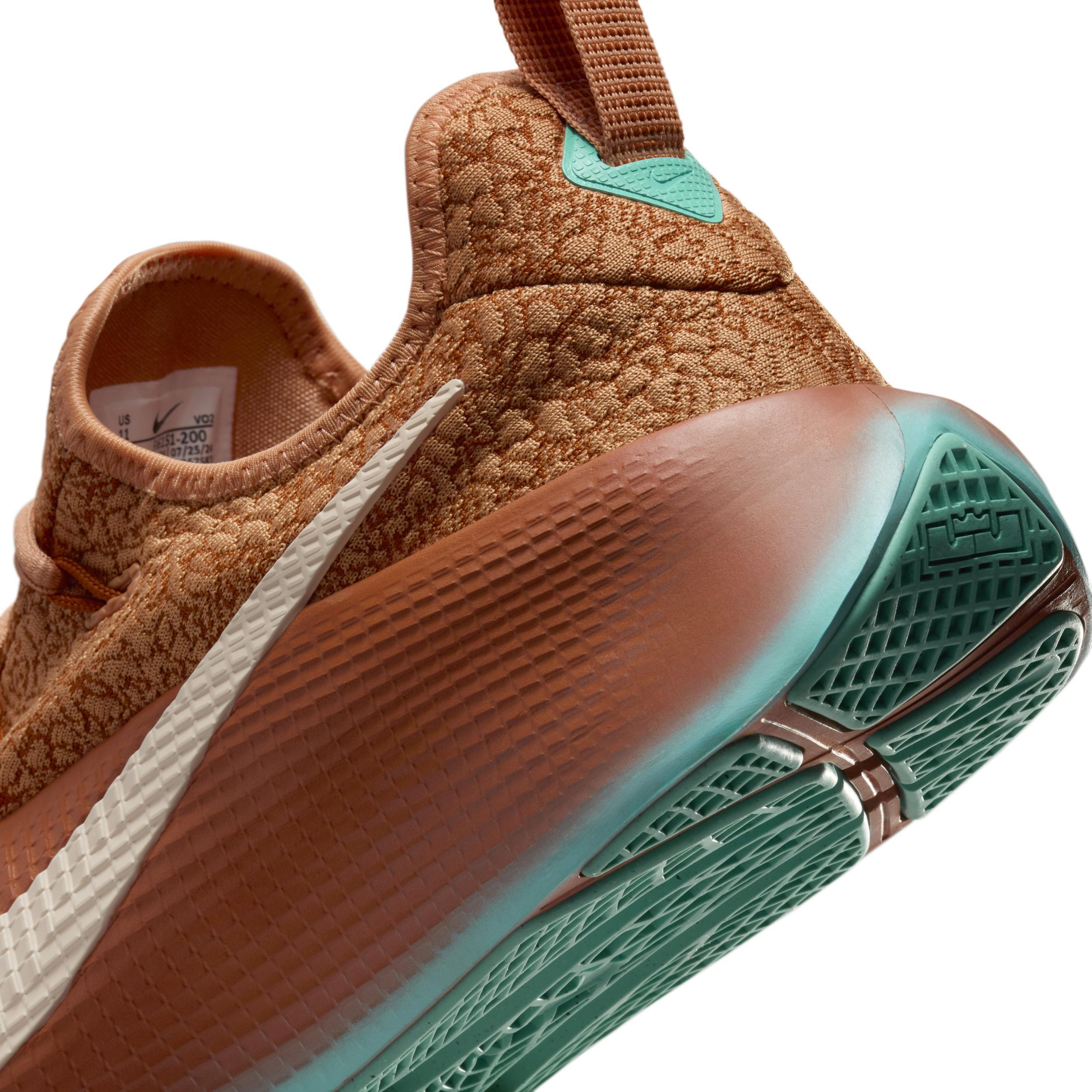 Nike Men's LeBron TR 1 Workout Shoes Product Image