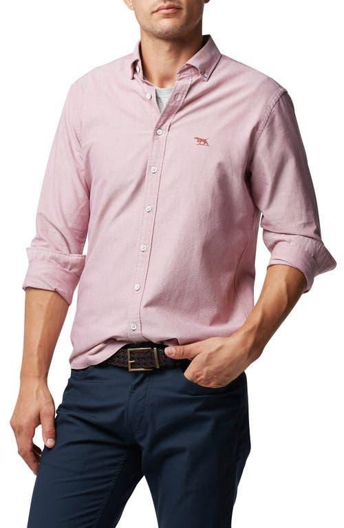 Mens Pointer Oxford Sport Shirt Product Image