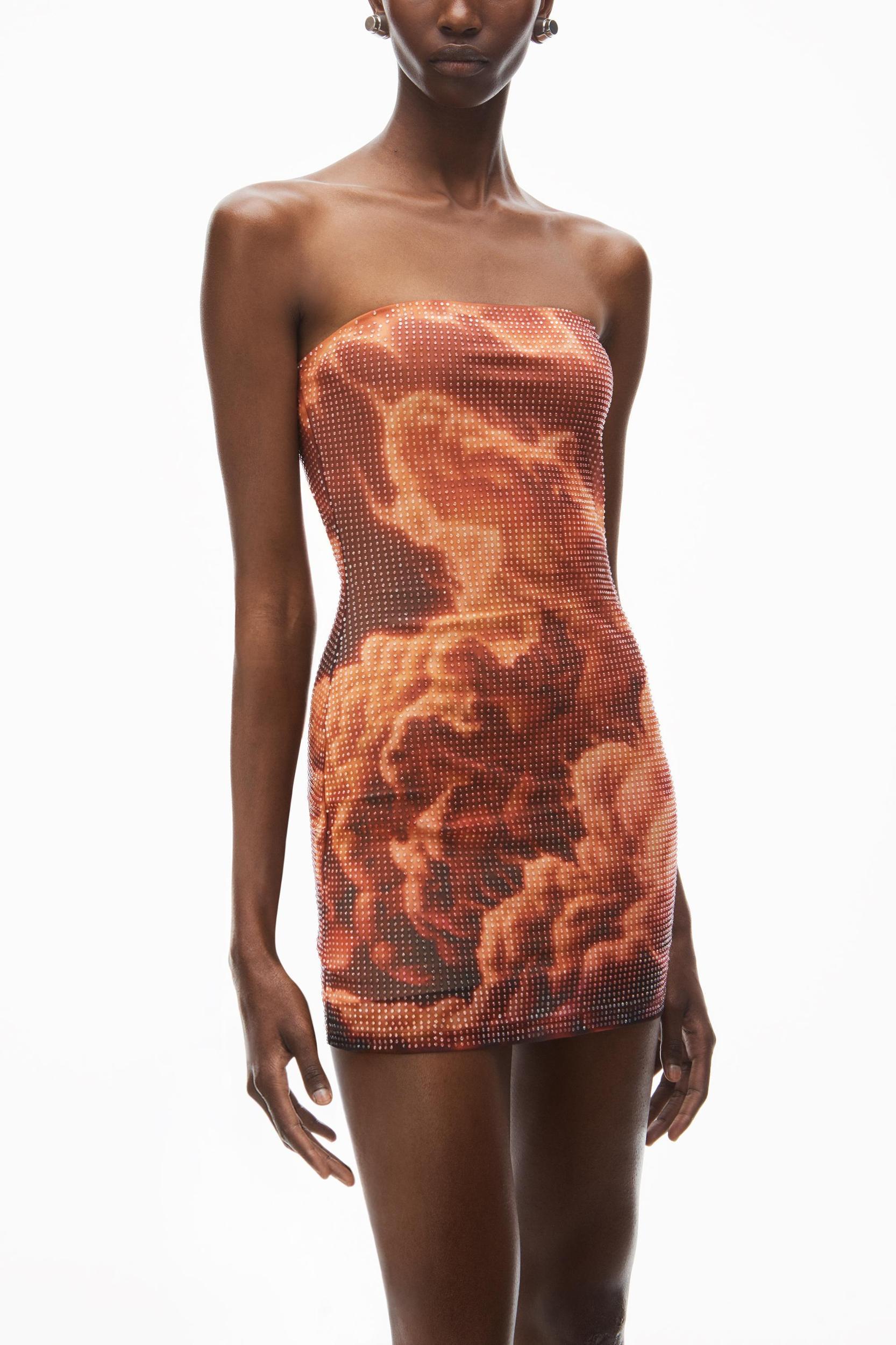 Crystal Hotfix Cloud-print Minidress In Organza Jersey Product Image