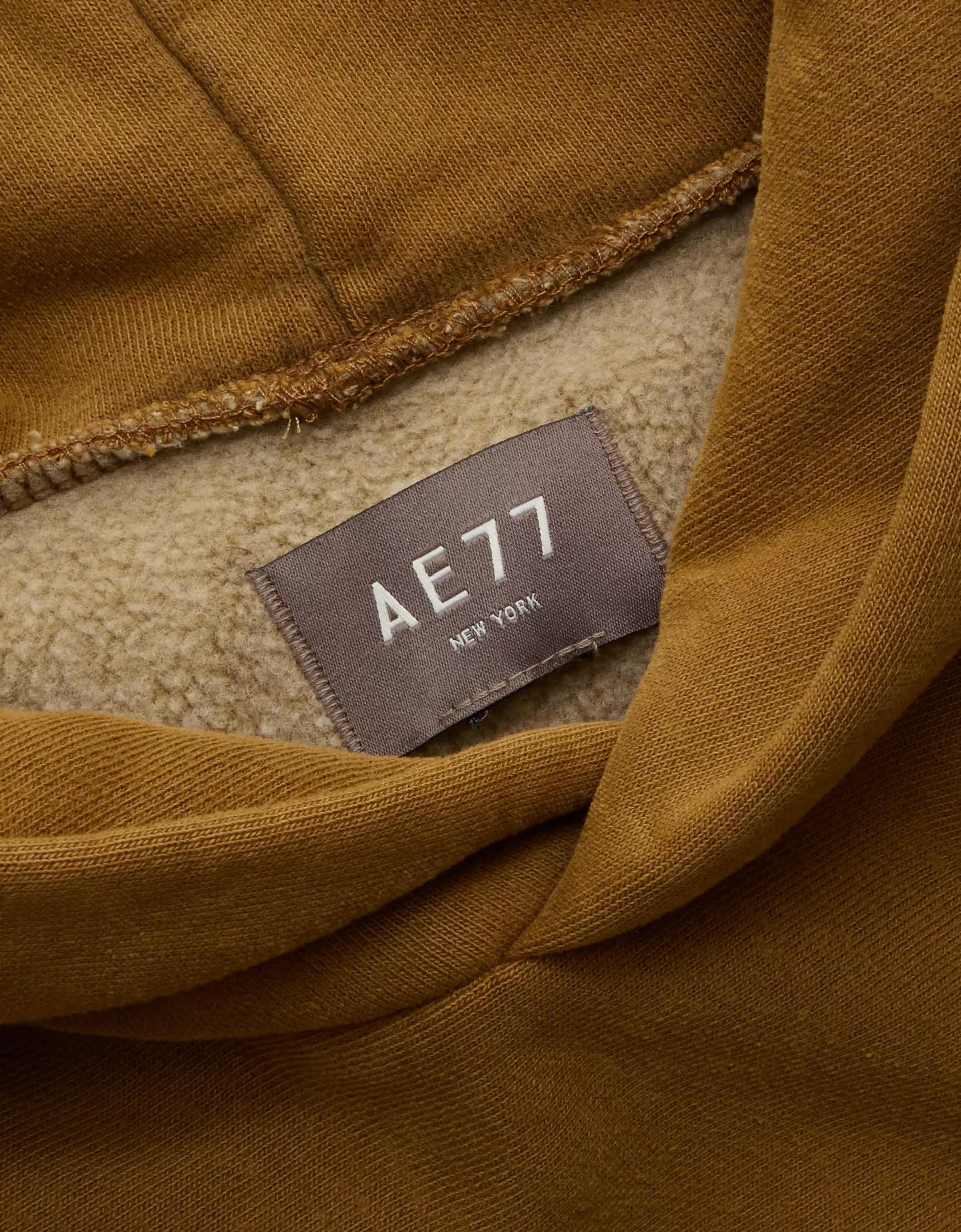 AE77 Premium Cropped Hoodie Product Image