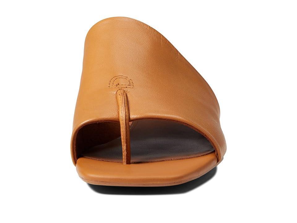 Franco Sarto Womens Loran Sandal Product Image