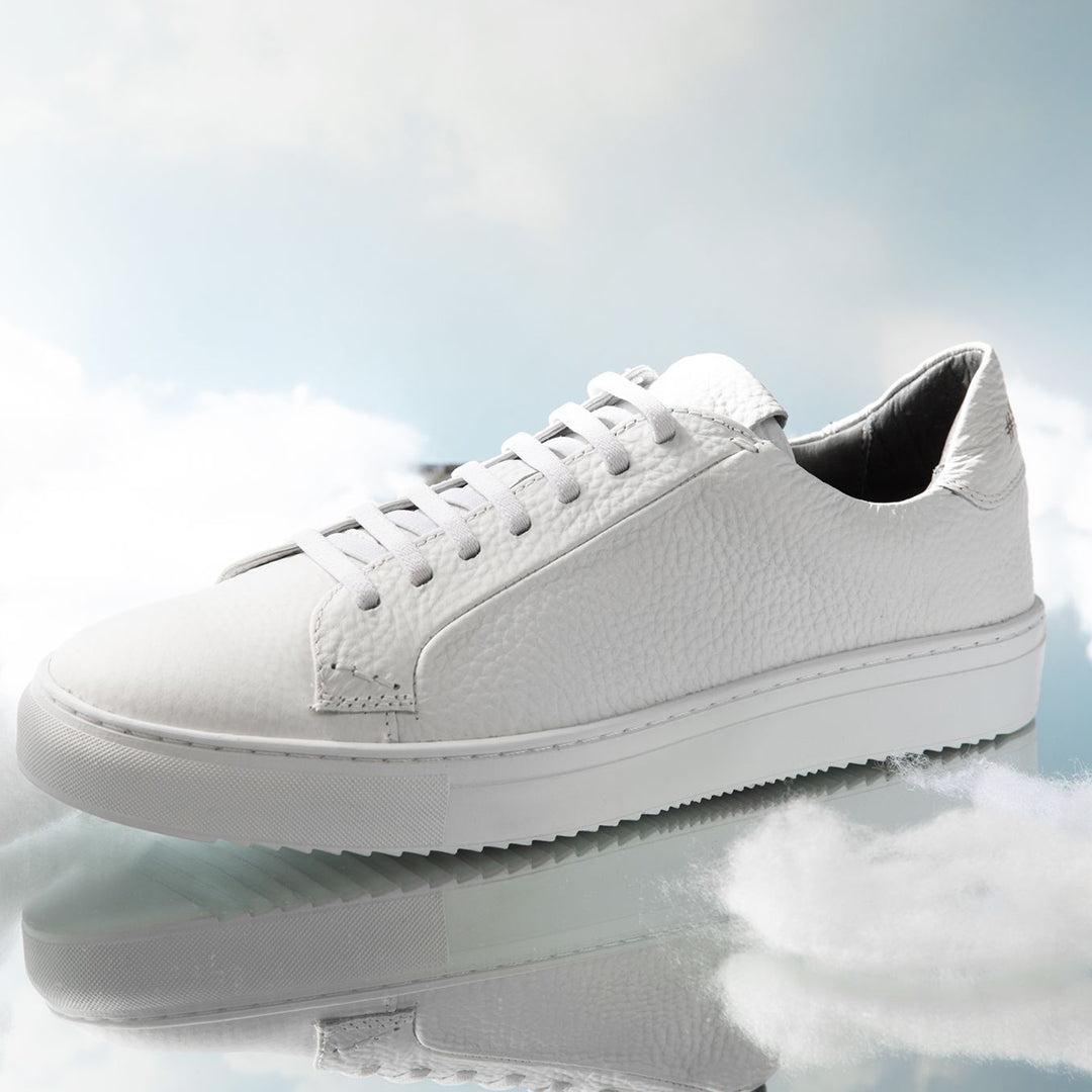 36's Laceless Low Top Product Image