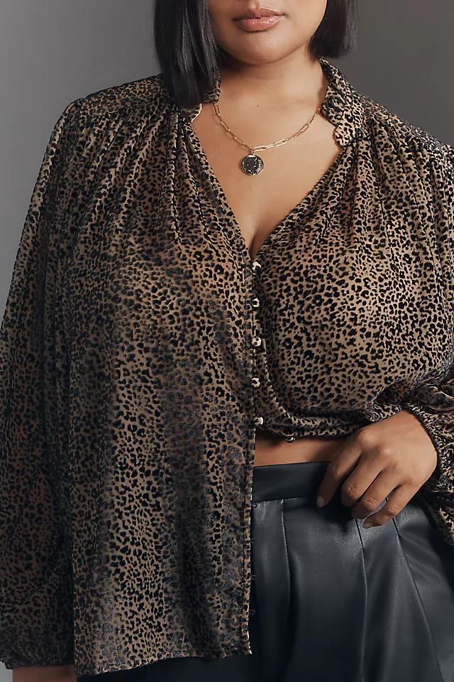 The Estela Sheer Printed Blouse: Burnout Edition Product Image