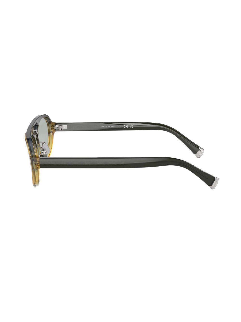 oval frame sunglasses  Product Image
