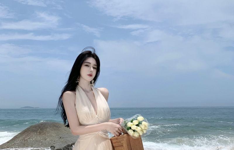 Halter Plain Maxi A-Line Sundress Product Image