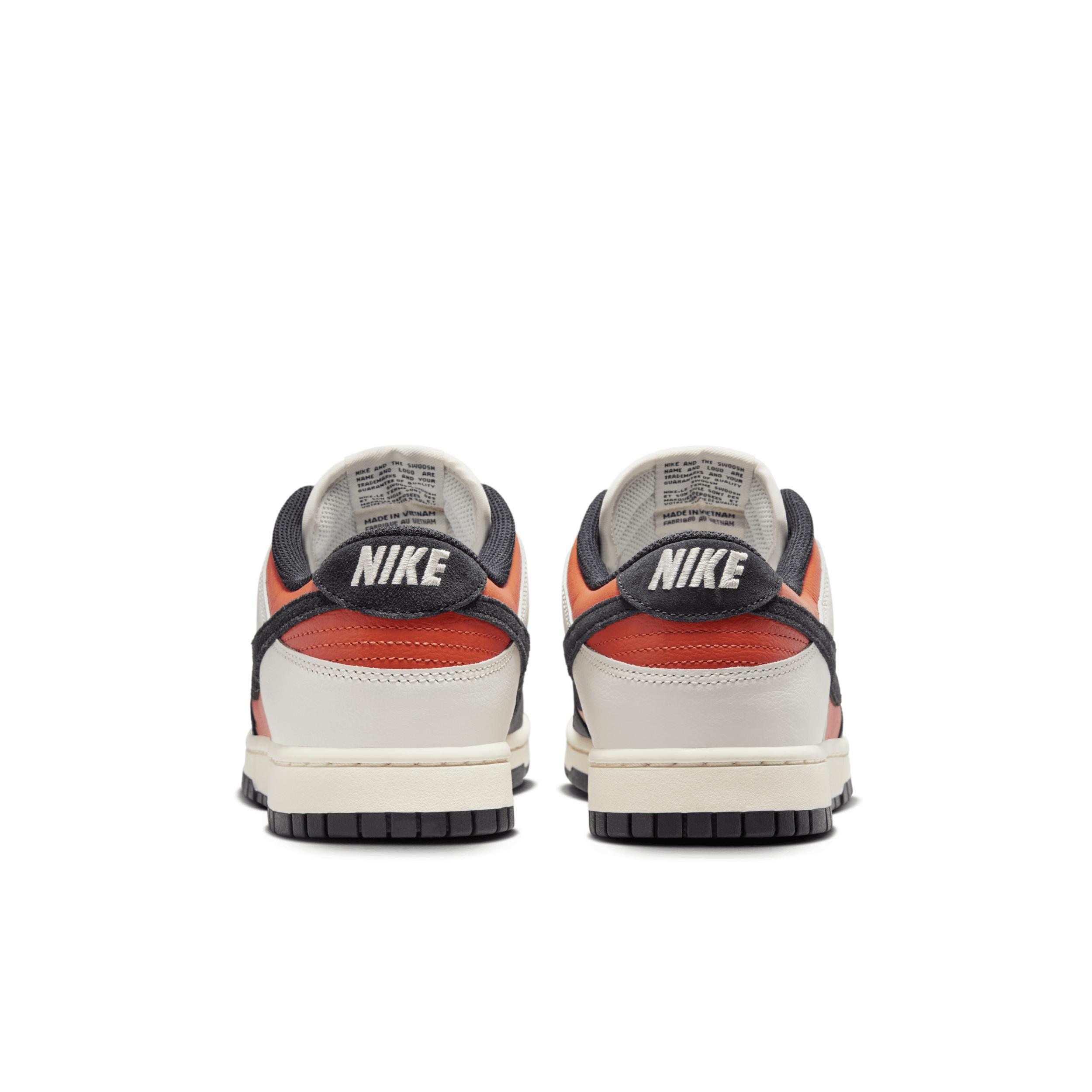 Nike Dunk Low Retro Men's Shoes Product Image