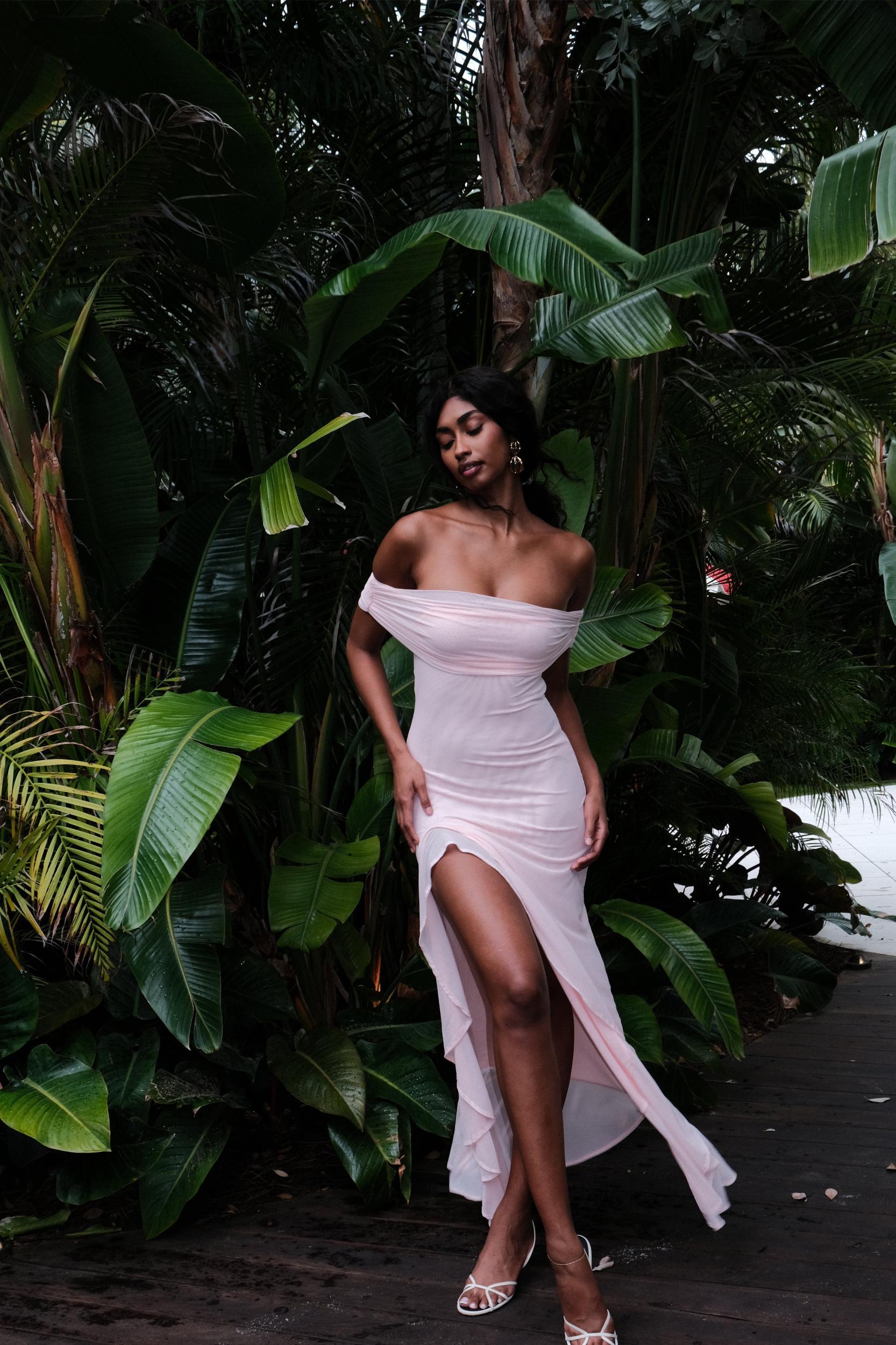 Audrey Off Shoulder Mesh Maxi Dress - Pale Pink Product Image