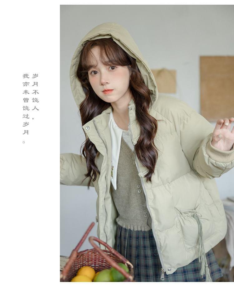 Plain Hooded Frog Buttoned Zip-Up Puffer Jacket Product Image