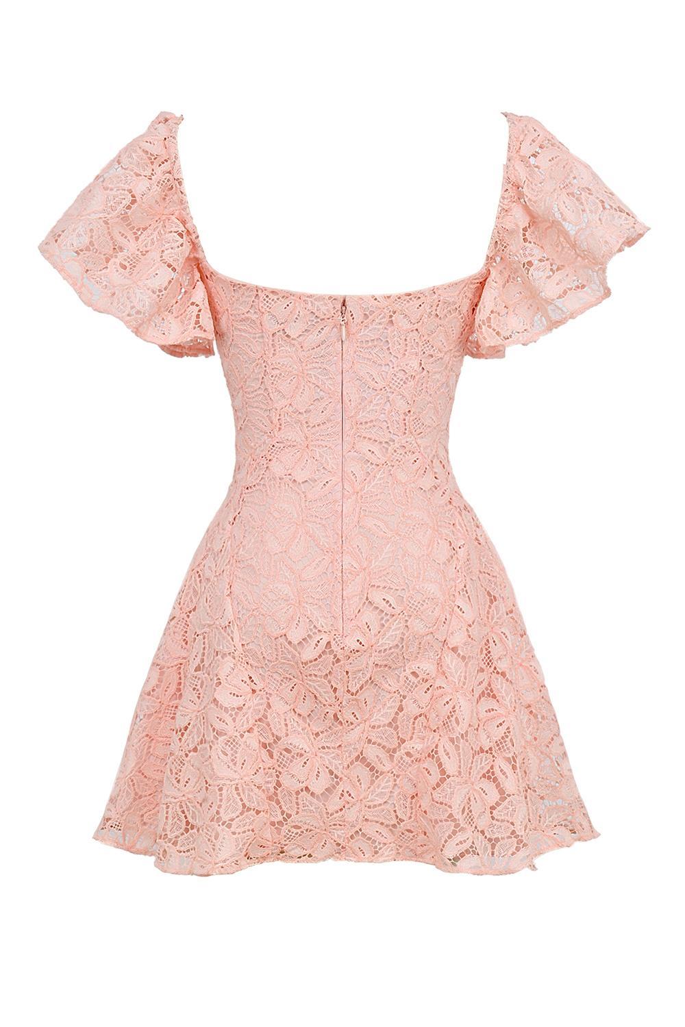 Verity Perfectly Pink Floral Lace Mini Dress Product Image
