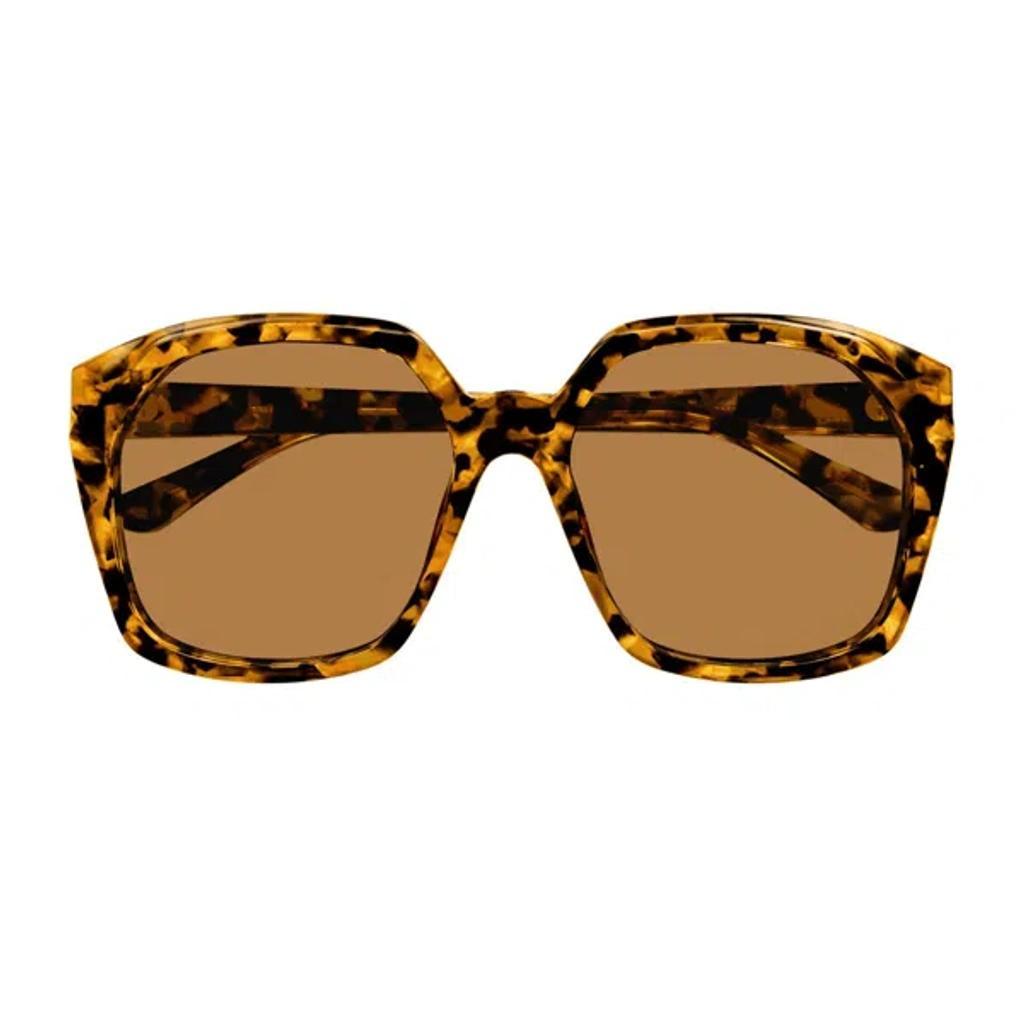 CHLOÉ Ch0280s Linea  007 Havana Brown Sunglasses In Marrone Product Image