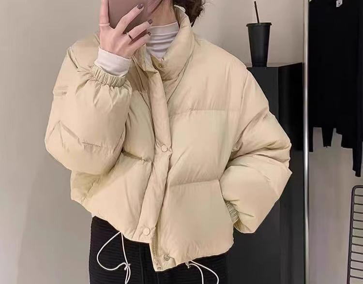 Stand Collar Plain Button Puffer Jacket Product Image
