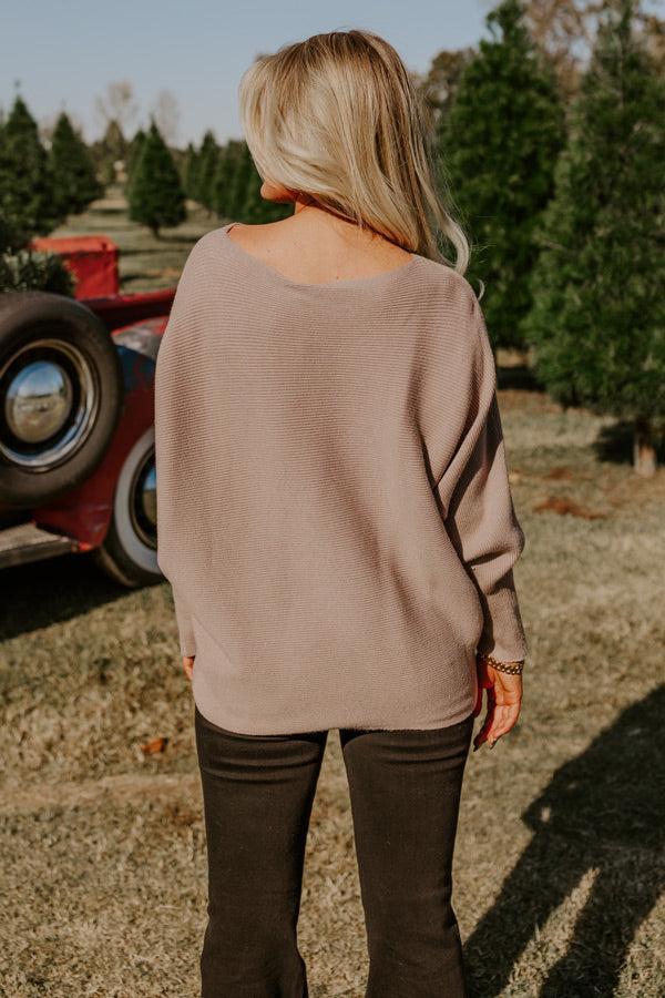 Aspen Plans Sweater Top Product Image