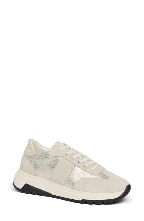 Paige Womens Maya Sneakers Product Image
