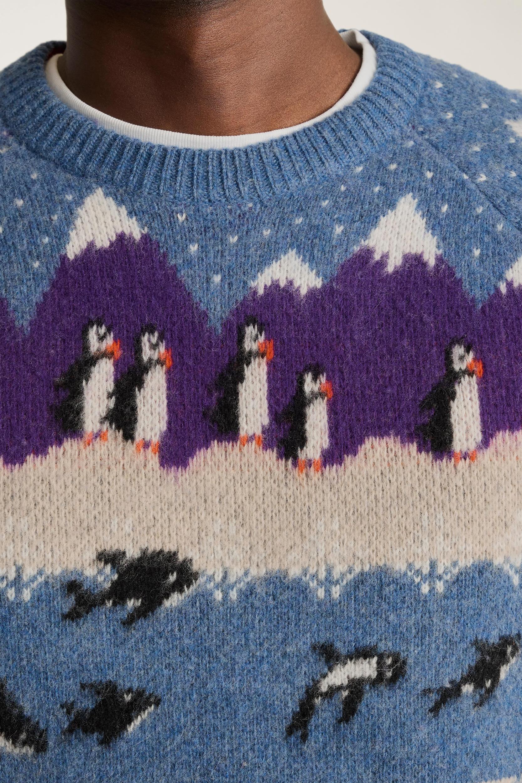 Arctic Fair Isle Sweater Product Image