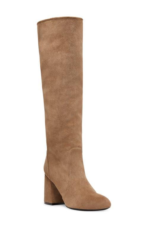Schutz Womens Maryana Croc-Embossed Block Heel Pointed-Toe Tall Boots Product Image
