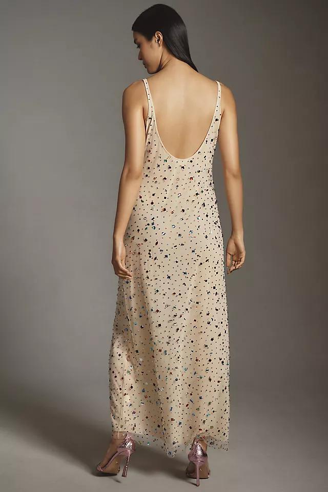 Let Me Be Bejeweled Mesh Maxi Dress Product Image